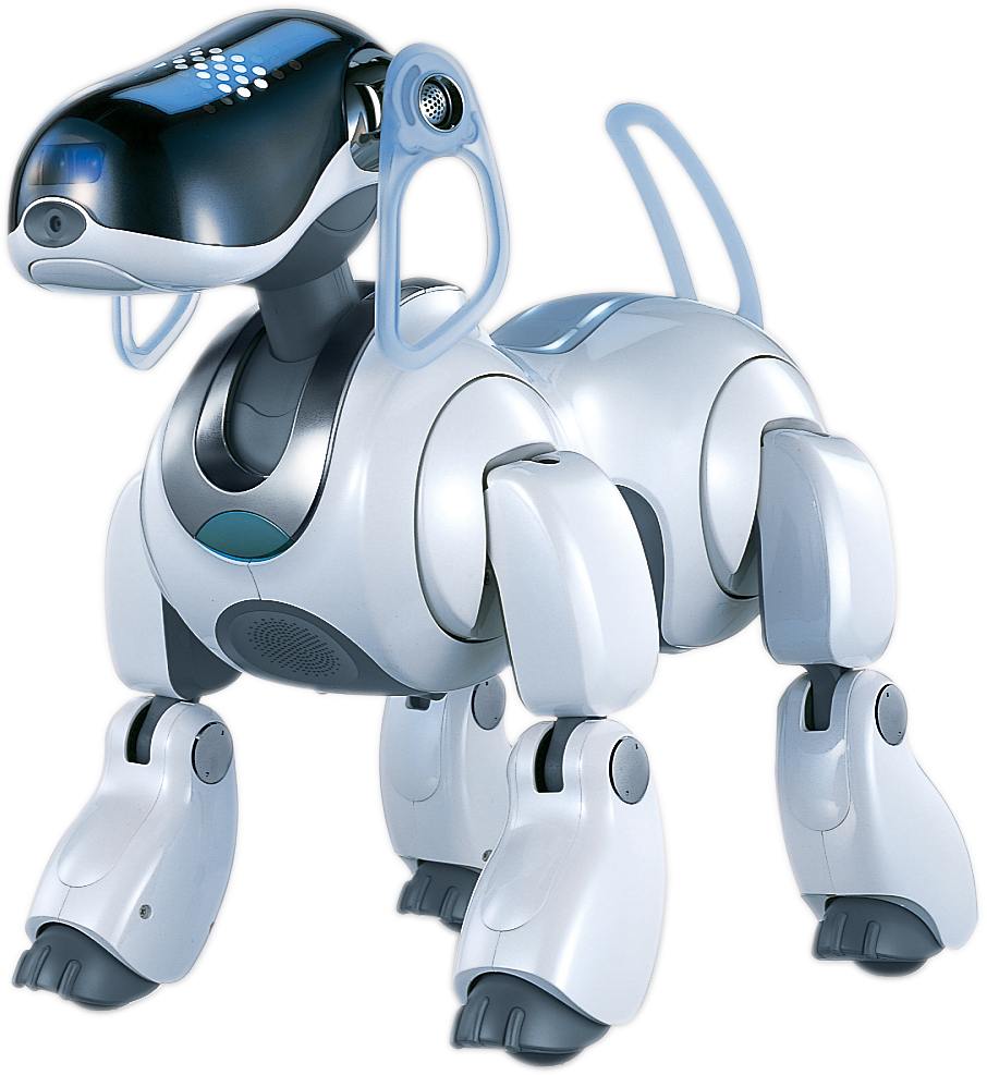 Robot Anjing